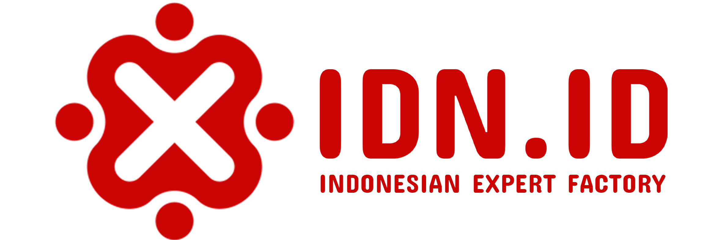 idn-logo